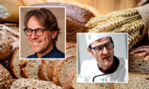 Pane e panettieri d’Italia 2025, nella guida entrano Renato Bosco Bakery e Il Fornaio Fratelli Zenatti