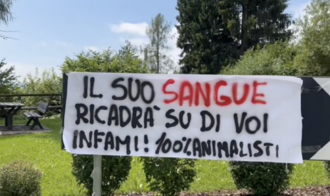 L’orsa KJ1 localizzata e uccisa dal Corpo Forestale, la denuncia delle associazioni animalisti