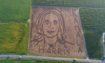 Ritratto di Kamala Harris in un campo di Castagnaro, Ufo? No: un sostenitore della candidata democratica alla presidenza USA