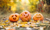 Cosa fare ad Halloween con i bambini a Verona e Provincia: gli eventi 2024