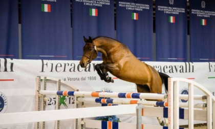 Verona si prepara per Fieracavalli: tutto quello che c'è da sapere su bus, parcheggi, divieti e viabilità