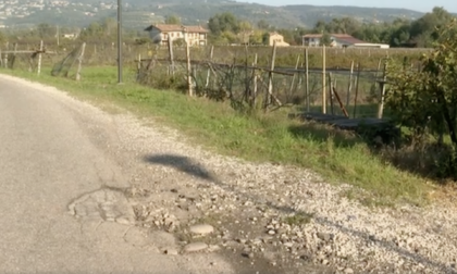 Perde il controllo dello scooter mentre torna dalla festa di Halloween, 20enne morto a Pescantina