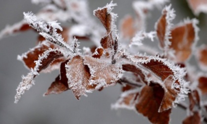 Ondata di freddo nel pomeriggio di giovedì 21 novembre 2024, primi fiocchi di neve in arrivo anche in provincia di Verona