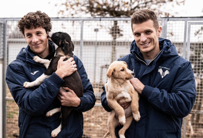 L’Hellas Verona adotta sette cuccioli del “Rifugio del cane e del gatto”