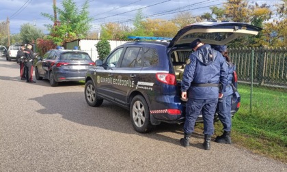 Guardie zoofile Oipa, anno positivo per il salvataggio di animali in provincia di Verona