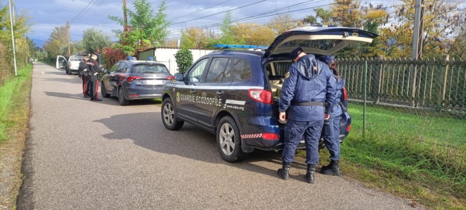 Guardie zoofile Oipa, anno positivo per il salvataggio di animali in provincia di Verona
