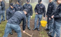 I Tulipani della Memoria, omaggio ai Caduti della Polizia al parco Sigurtà