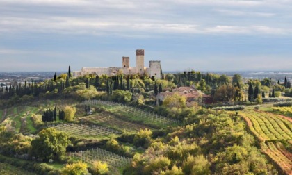 Cosa fare a Verona e provincia nel weekend: eventi di sabato 10 e domenica 11 maggio 2025