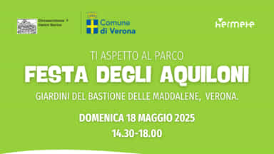 Locandina Festa degli Aquiloni 2025