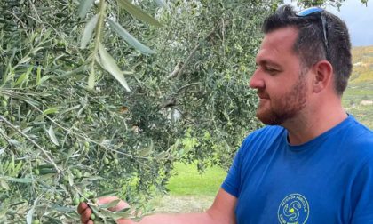 Agricoltore veronese muore schiacciato dal trattore: Luigi Ruffo aveva 39 anni
