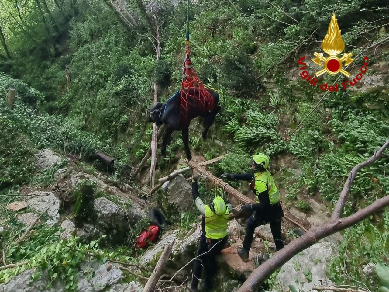WhatsApp Image 2025-05-18 at 03.21.36