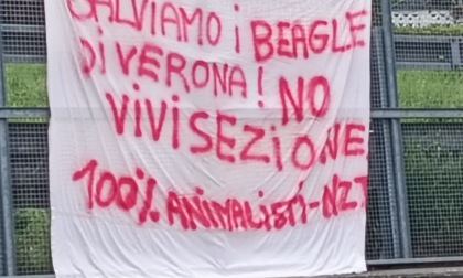 "Centopercentoanimalisti" contro la vivisezione cercano il traino dell'Adunata Alpina