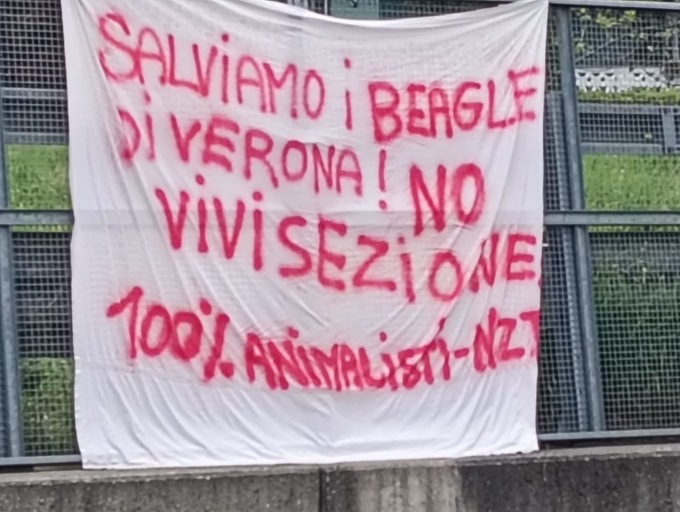 “Centopercentoanimalisti” contro la vivisezione cercano il traino dell’Adunata Alpina