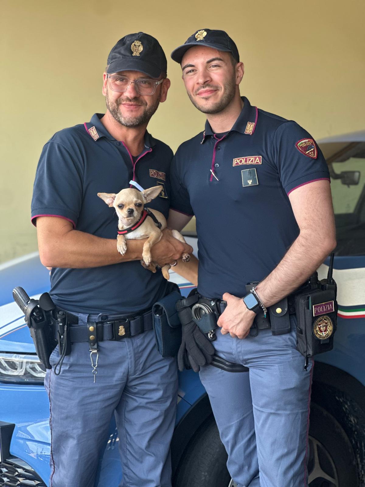 18.06.2025 - Volanti - Ritrovamento cagnolino
