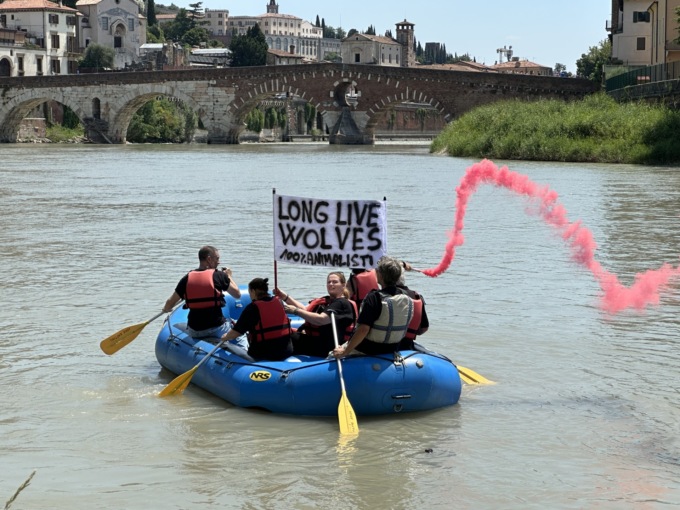 Protesta in gommone sull’Adige contro i piani di abbattimento del lupo sui monti Lessini