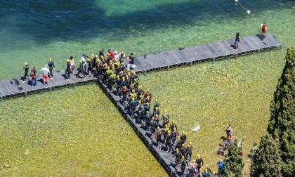 Cosa fare a Verona e provincia nel weekend: eventi di sabato 14 e domenica 15 giugno 2025