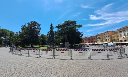Piazza Bra transennata: cedro secolare pericolante accanto all'Arena di Verona