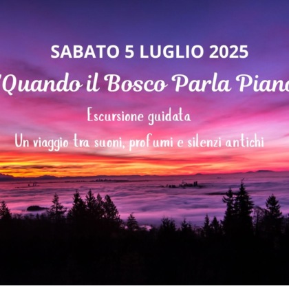 Quando il bosco parla piano: escursione serale in Lessinia