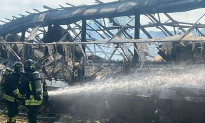 Incendio distrugge capannone: morti oltre 12mila tacchini