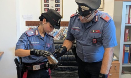 Droga nascosta in un giardino condominiale a Castel d’Azzano, sequestrato mezzo chilo di eroina