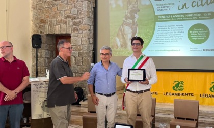 Animali in città, solo 4 comuni su 10 raggiungono la sufficienza: Verona premiata tra i più virtuosi