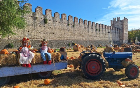 Cosa fare a Verona e provincia nel weekend: eventi di sabato 1 e domenica 2 novembre 2025