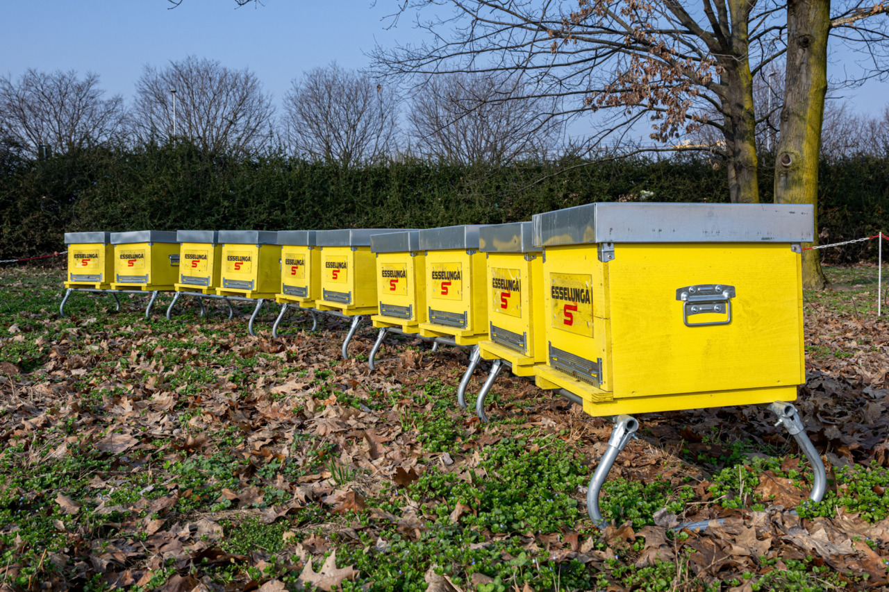 Esselunga presenta i risultati del Piano di Sostenibilità al 2024