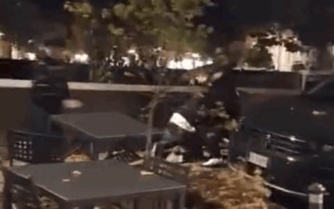 Rissa sul Lungadige Donatelli a Verona: il video di Davide Veneri riaccende il dibattito sulla sicurezza