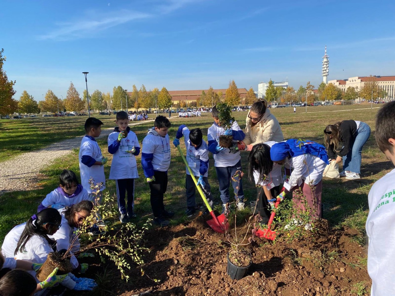 Alberi per l’aria pulita: il congresso dei pneumologi italiani lancia un messaggio forte su salute e inquinamento