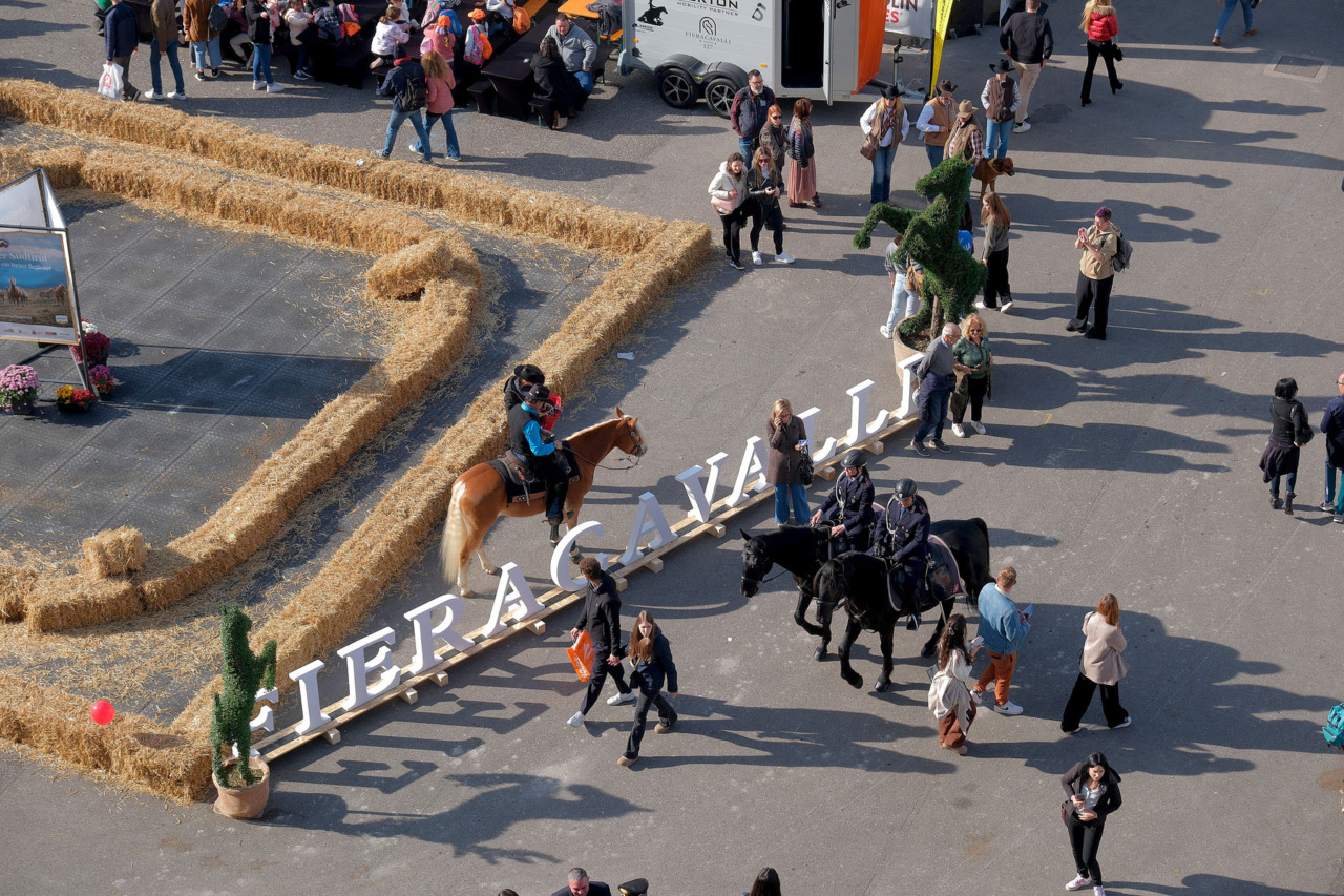 Fieracavalli 2025 chiude con 140mila visitatori e 79 Paesi: “La miglior edizione di sempre”