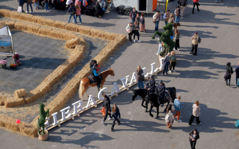 Fieracavalli 2025 chiude con 140mila visitatori e 79 Paesi: “La miglior edizione di sempre”