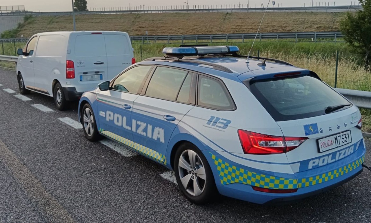 Sequestrati 800 kg di pesce: furgone senza autorizzazioni fermato al casello di Verona Sud