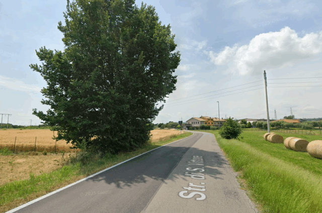 Auto va a sbattere contro un albero a Bussolengo: feriti quattro ventenni