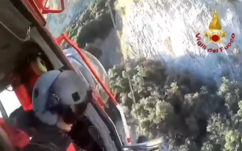 Camoscio impigliato con le zampe in una vecchia corda, salvato dai vigili del fuoco