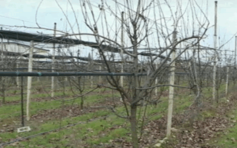 Tredici agricoltori contro il Consorzio di Bonifica Veronese