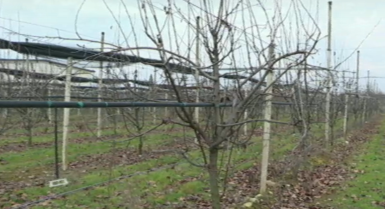 Tredici agricoltori contro il Consorzio di Bonifica Veronese