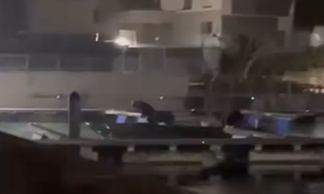 Il video dei bracconieri in azione tra Sirmione e Peschiera: catturate carpe con pesca illegale