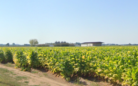32enne morto sul lavoro a Isola della Scala in via San Zeno
