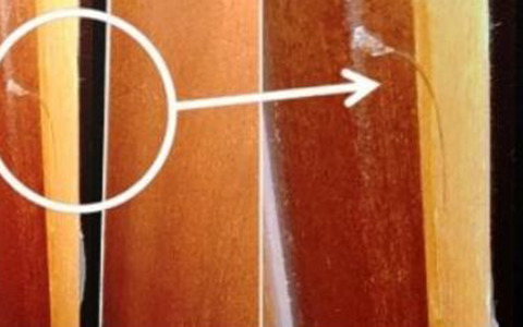 Furti in casa con la “tecnica della colla”: sgominata a Verona la banda dei georgiani