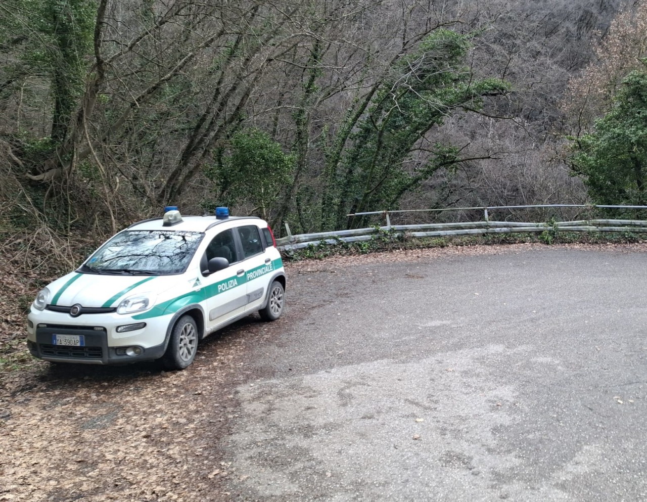 Cane ucciso e gettato in una scarpata dentro un sacchetto: denunciata una coppia