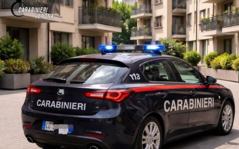 Ubriaco si arrampica sui tetti di cinque abitazioni e cerca di intrufolarsi