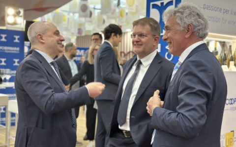 Vinitaly, Fidanza (FdI-ECR): “Vino italiano va difeso e promosso, non demonizzato”